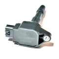 Bobina Renault Duster Kangoo 1.6 2 Pines 19-22 224336695r