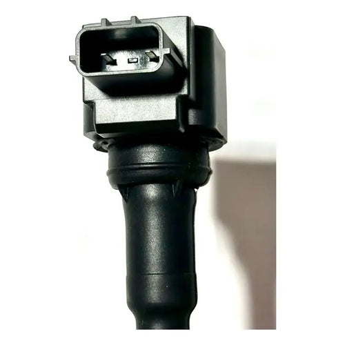 Bobina Renault Duster Kangoo 1.6 2 Pines 19-22 224336695r